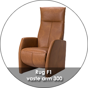 De Toekomst Fabulous 5 Rug F1 Vaste Arm 300