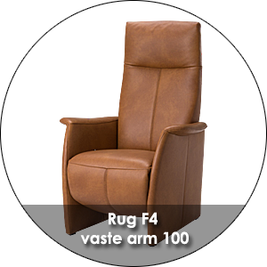 De Toekomst Fabulous 5 Rug F4 Vaste Arm 100