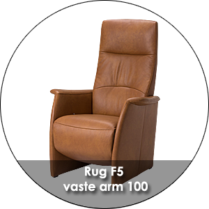 De Toekomst Fabulous 5 Rug F5 Vaste Arm 100