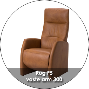 De Toekomst Fabulous 5 Rug F5 Vaste Arm 300