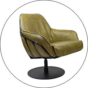 DS Meubel Fauteuil Jurgen.