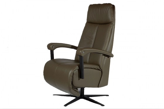 dat-zit-relaxfauteuil-silver-wing-groen-leer