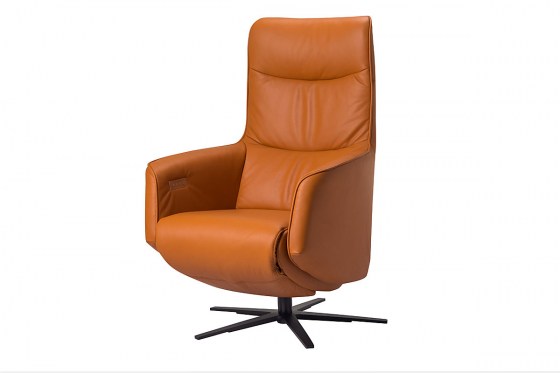 de-toekomst-relaxfauteuil-twice093